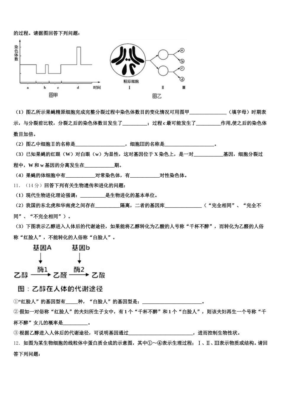 2025届四川省眉山中学生物高一第二学期期末质量检测模拟试题含解析_第3页