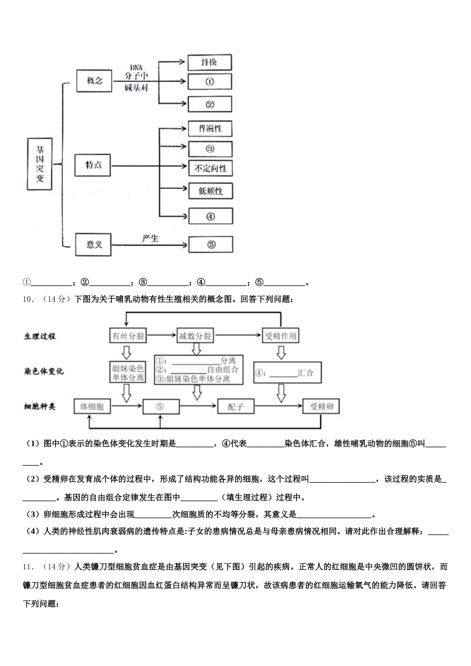 四川省遂宁市遂宁二中2025年生物高一第二学期期末调研模拟试题含解析_第3页