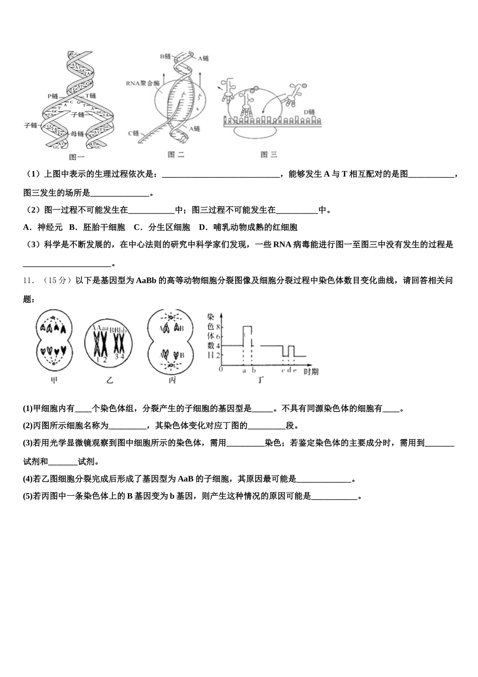 四川省成都实验高级中学2024-2025学年高一下生物期末统考模拟试题含解析_第3页