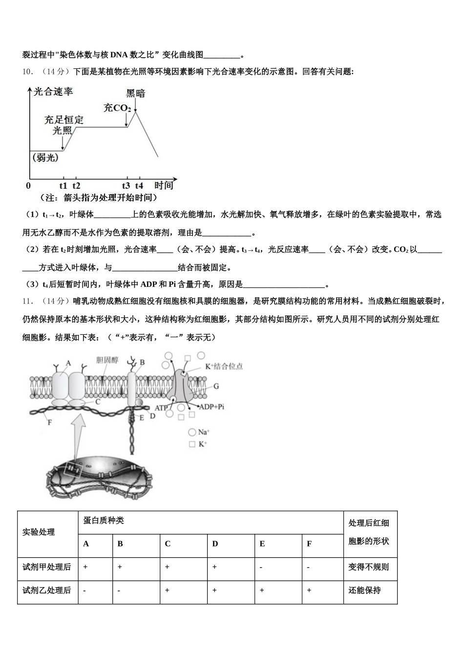 2025届四川省德阳市什邡中学生物高一第二学期期末联考模拟试题含解析_第3页