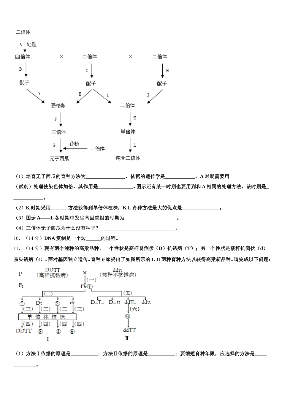 四川省西昌市川兴中学2025届高一生物第二学期期末复习检测试题含解析_第3页