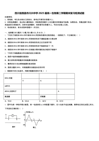 四川省西昌市川兴中学2025届高一生物第二学期期末复习检测试题含解析