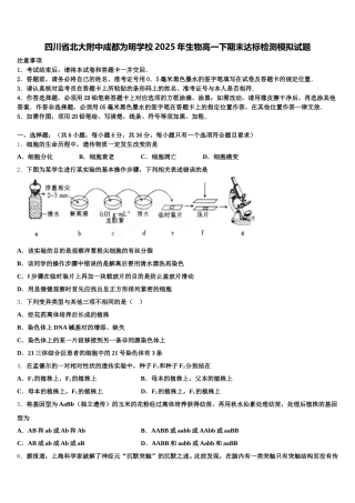 四川省北大附中成都为明学校2025年生物高一下期末达标检测模拟试题含解析