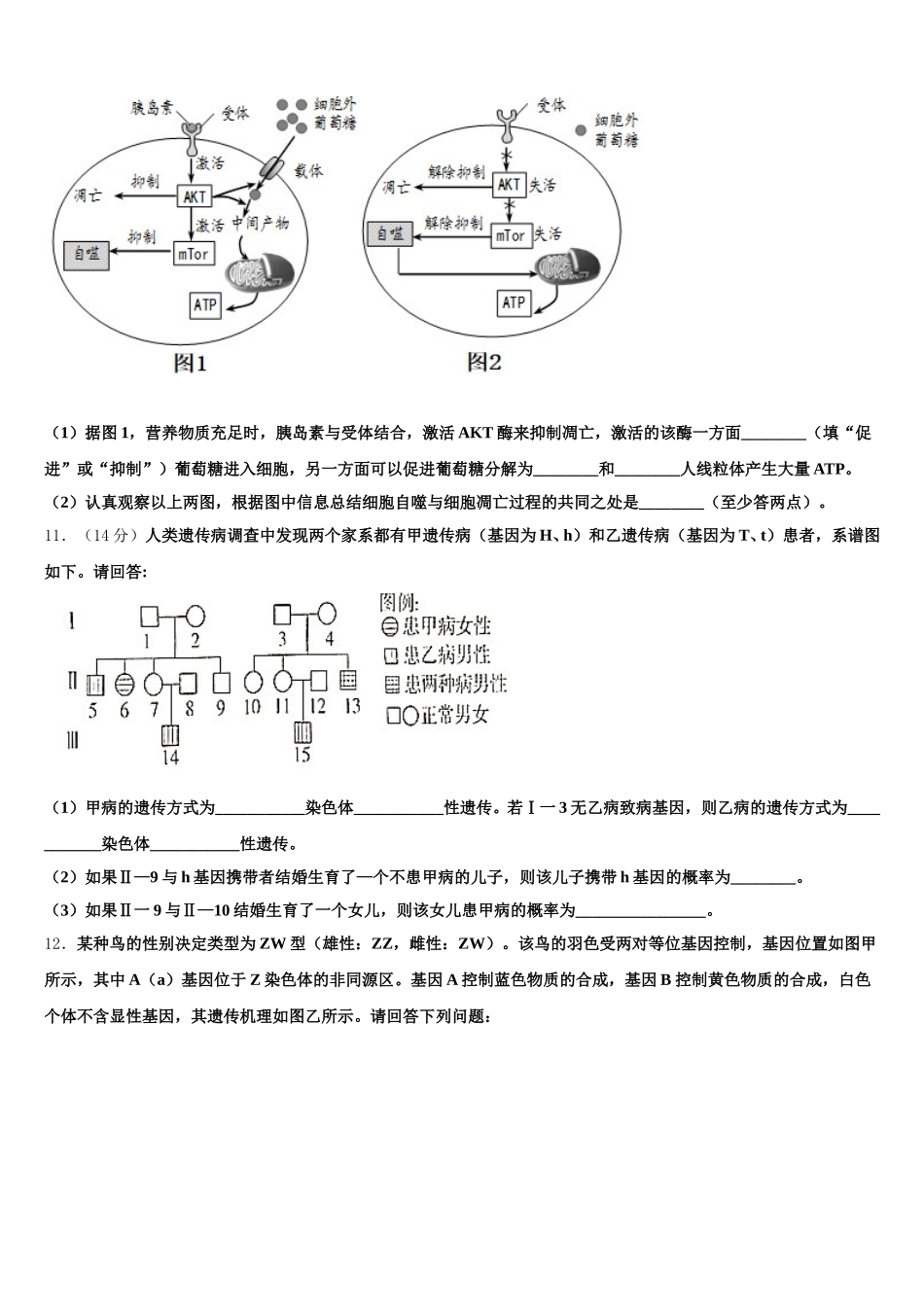 成都市双流区2024-2025学年高一下生物期末经典试题含解析_第3页