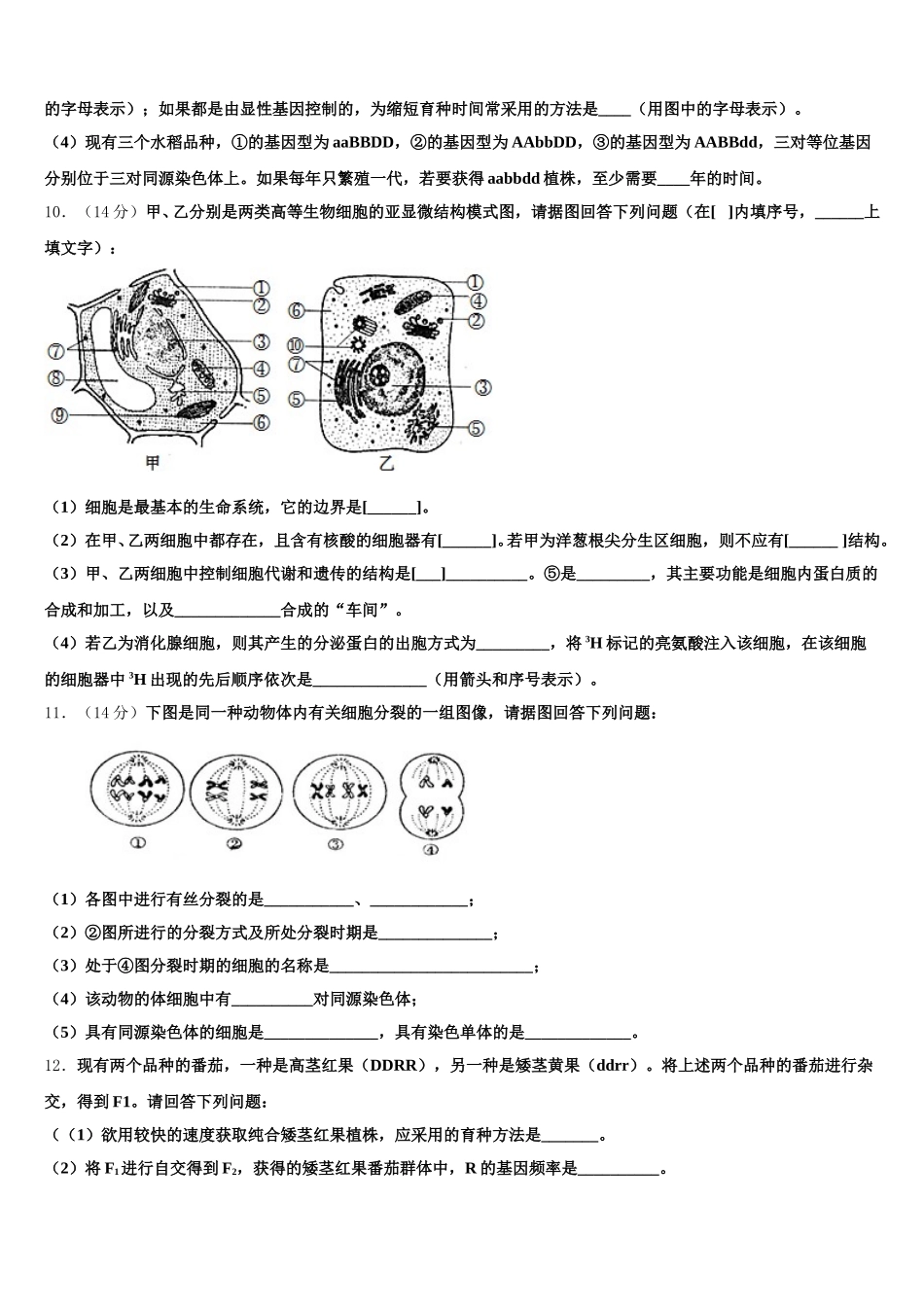 2025年广元市重点中学生物高一下期末学业质量监测模拟试题含解析_第3页