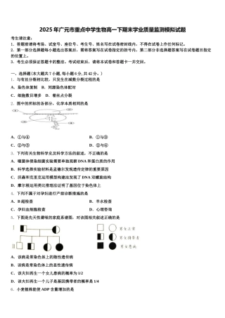 2025年广元市重点中学生物高一下期末学业质量监测模拟试题含解析