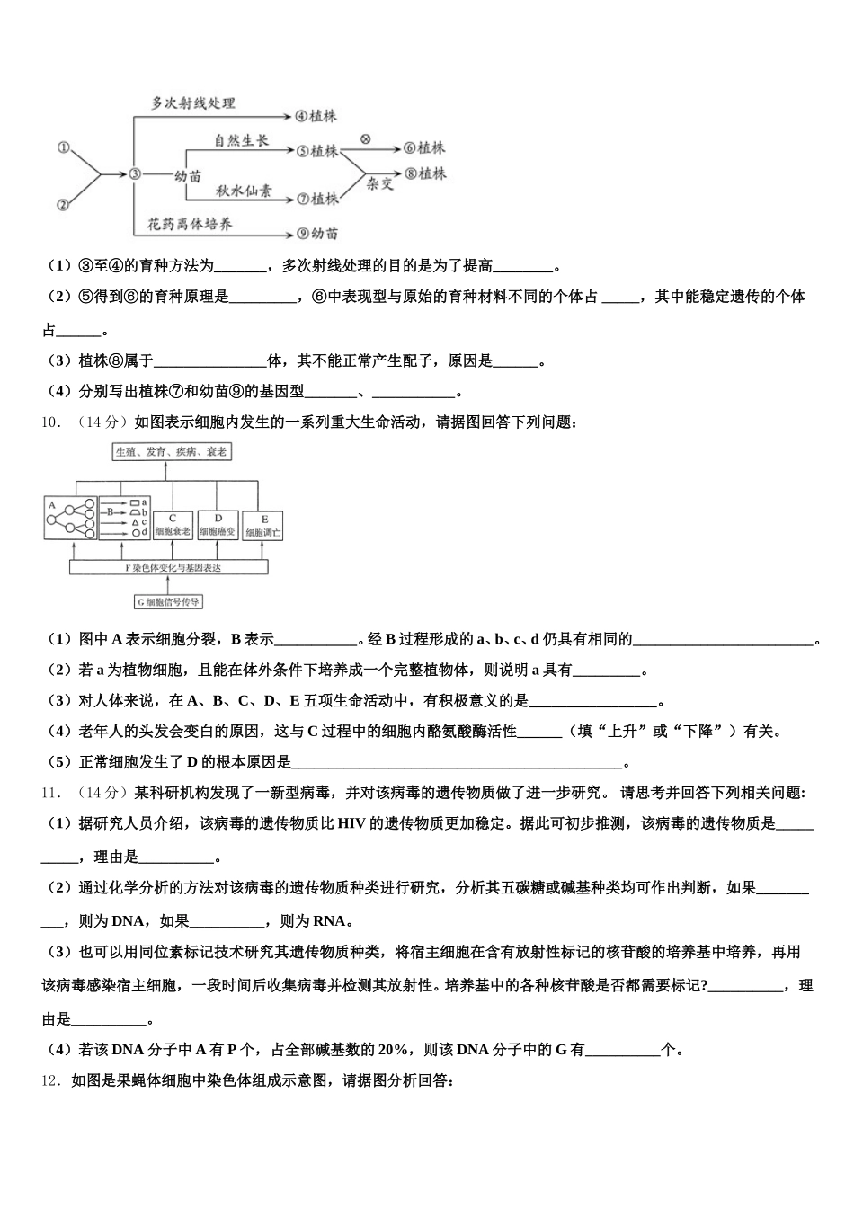 四川省成都市成都外国语学校2025年高一下生物期末检测模拟试题含解析_第3页