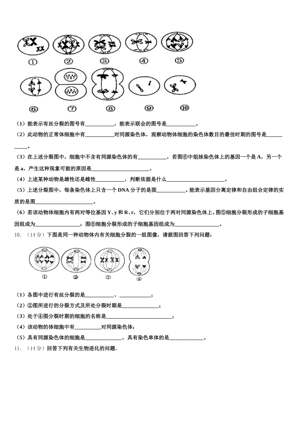 四川省乐山四中2025届生物高一下期末监测模拟试题含解析_第3页