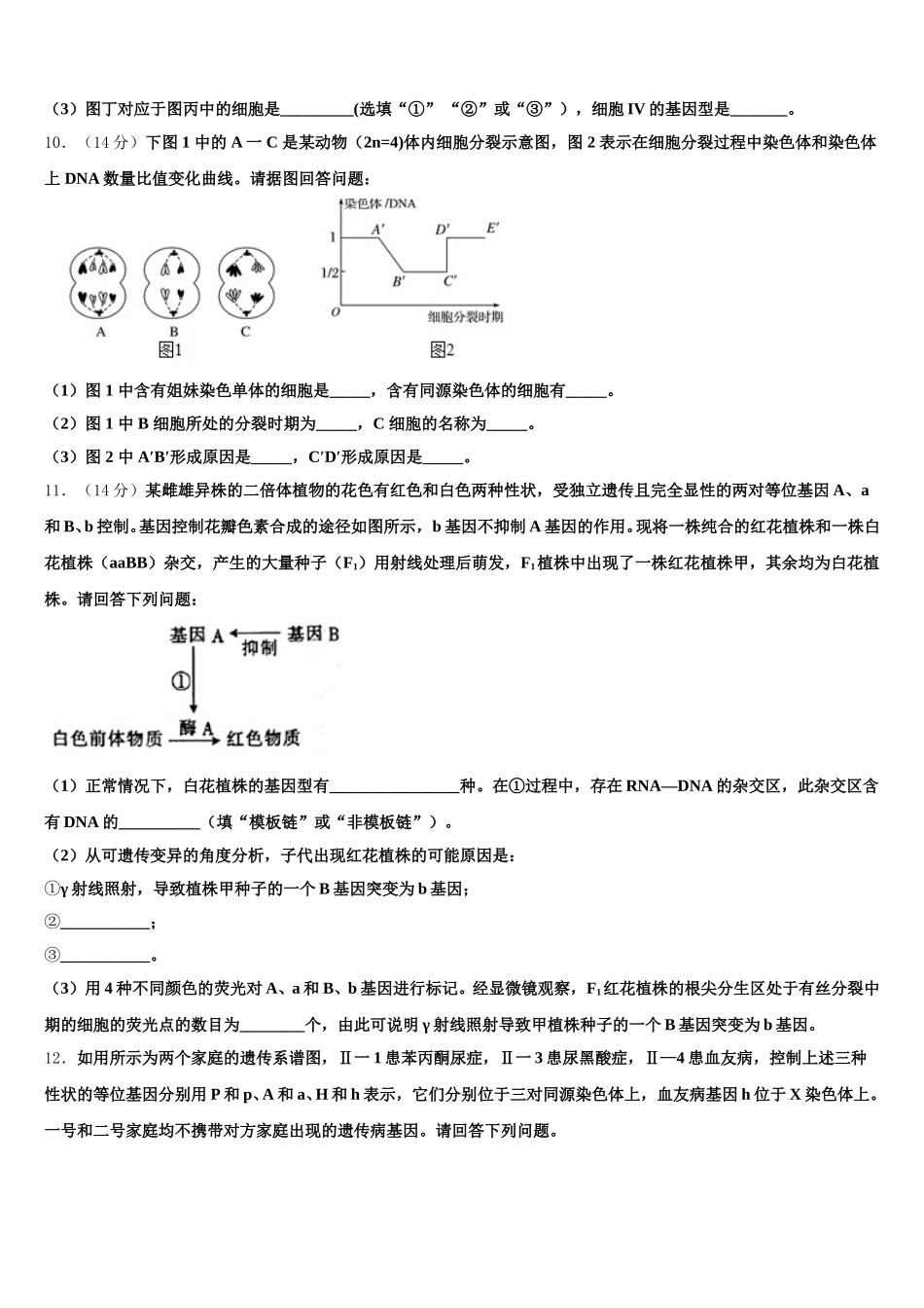 四川省成都市双流县棠湖中学2024-2025学年生物高一下期末统考试题含解析_第3页