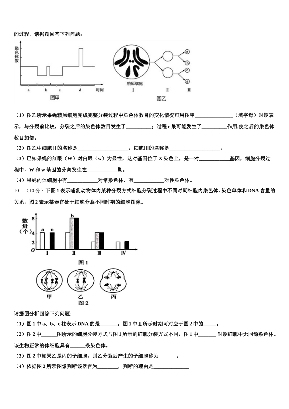 2025年四川省遂宁市射洪县射洪中学等生物高一下期末经典模拟试题含解析_第3页