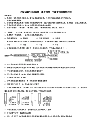 2025年四川省华蓥一中生物高一下期末检测模拟试题含解析