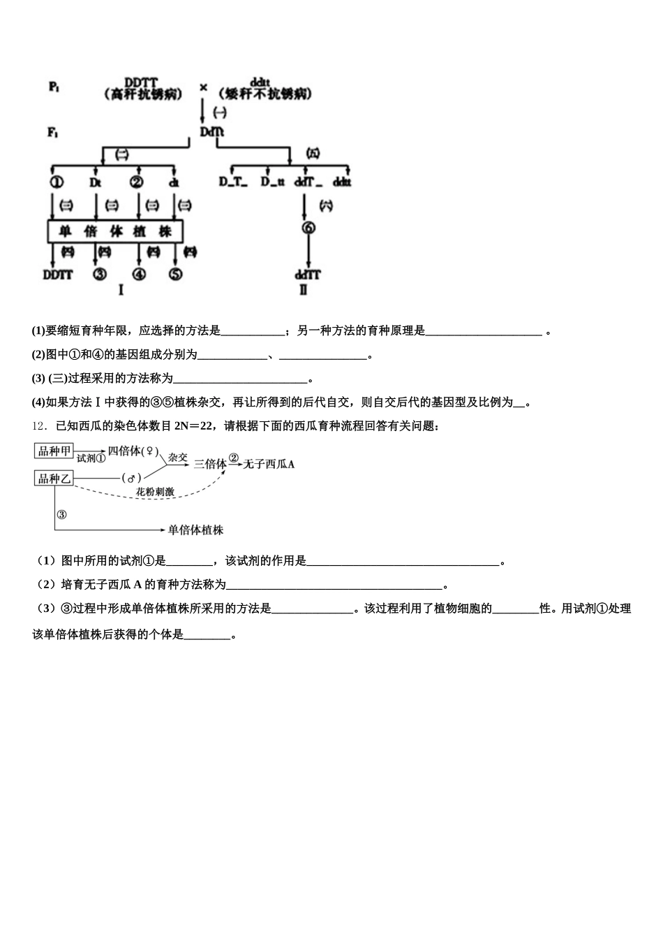 四川省巴中市2024-2025学年高一生物第二学期期末教学质量检测模拟试题含解析_第3页
