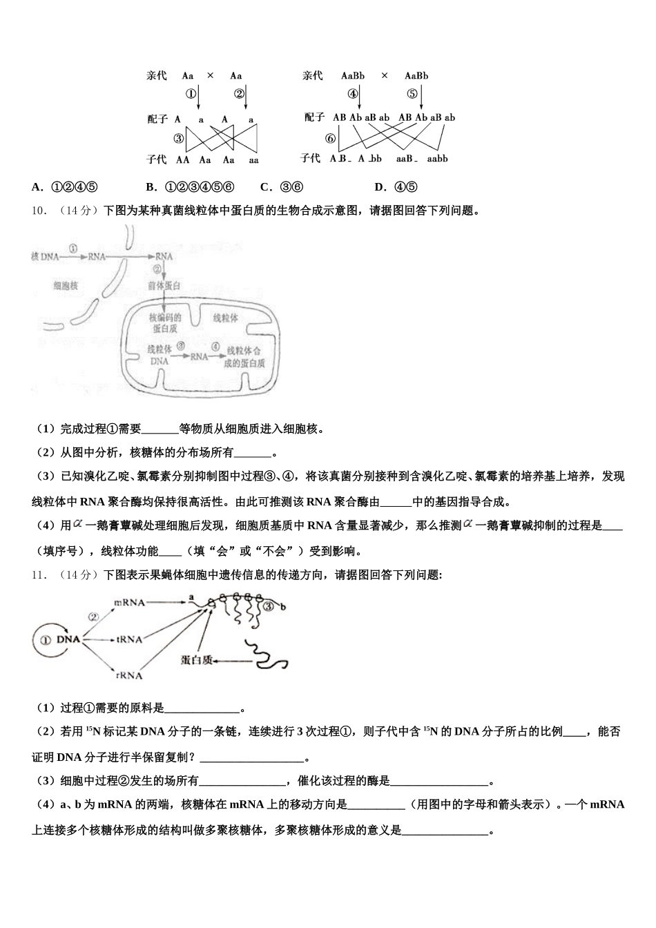 四川省长宁县培风中学2025届高一下生物期末统考模拟试题含解析_第3页