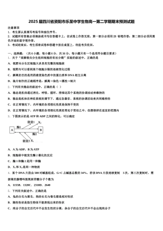 2025届四川省资阳市乐至中学生物高一第二学期期末预测试题含解析