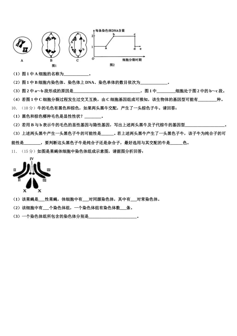 2025届四川省泸州高中高一下生物期末复习检测模拟试题含解析_第3页