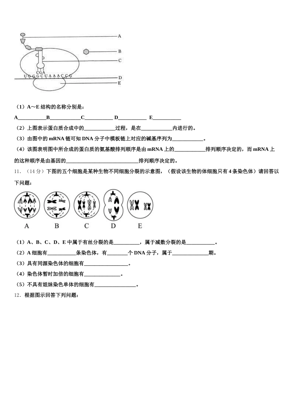 攀枝花市重点中学2025届高一生物第二学期期末统考试题含解析_第3页
