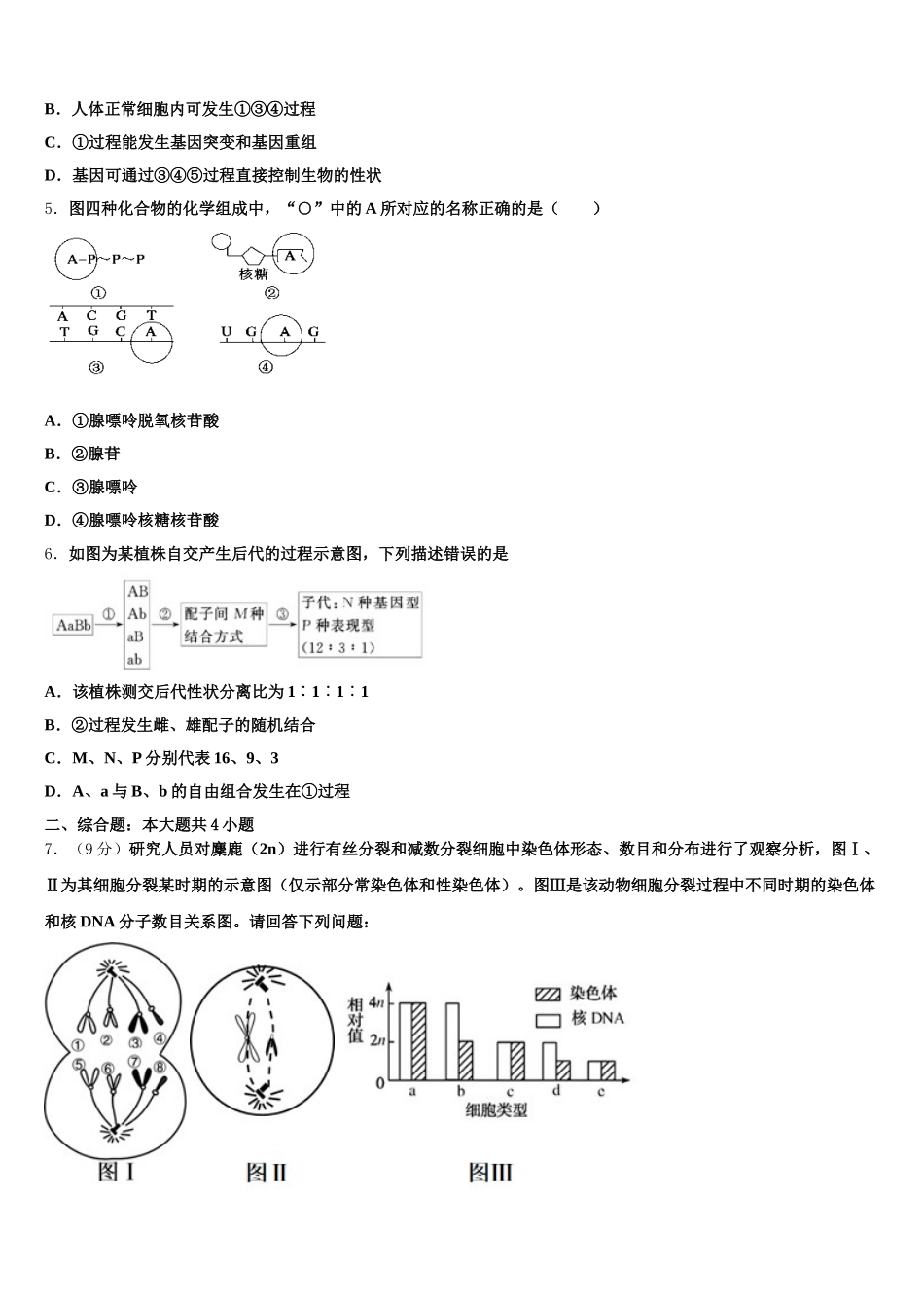 2025届四川省富顺二中高生物高一第二学期期末学业质量监测模拟试题含解析_第2页