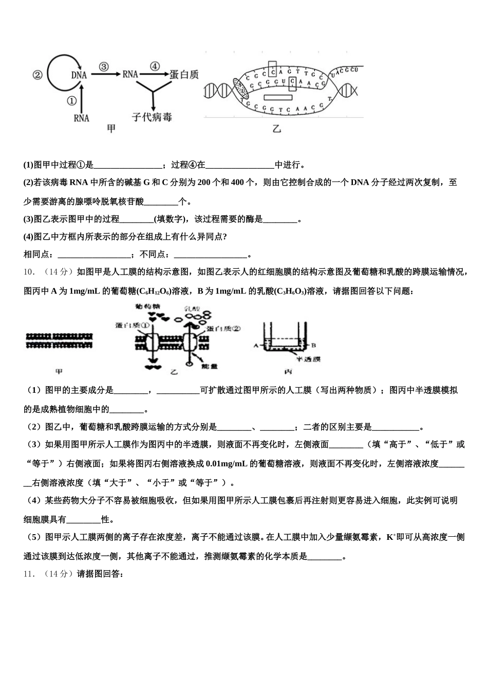 2025届四川省成都市成都市第七中学高一生物第二学期期末学业质量监测试题含解析_第3页