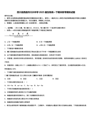 四川省西昌市川兴中学2025届生物高一下期末联考模拟试题含解析