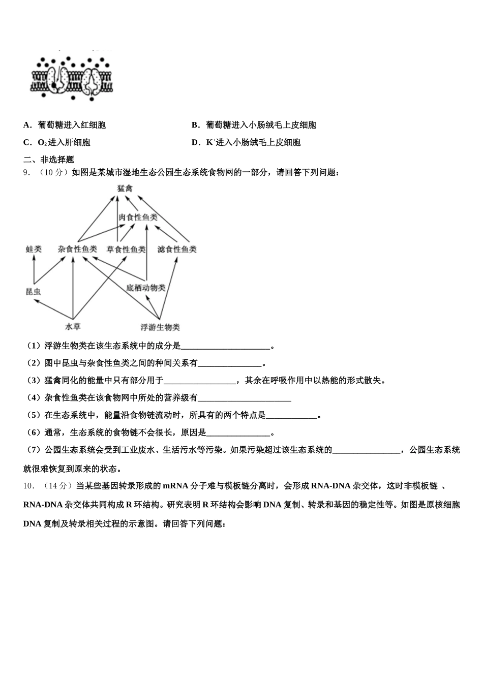 四川绵阳中学2025年生物高一下期末质量跟踪监视模拟试题含解析_第3页