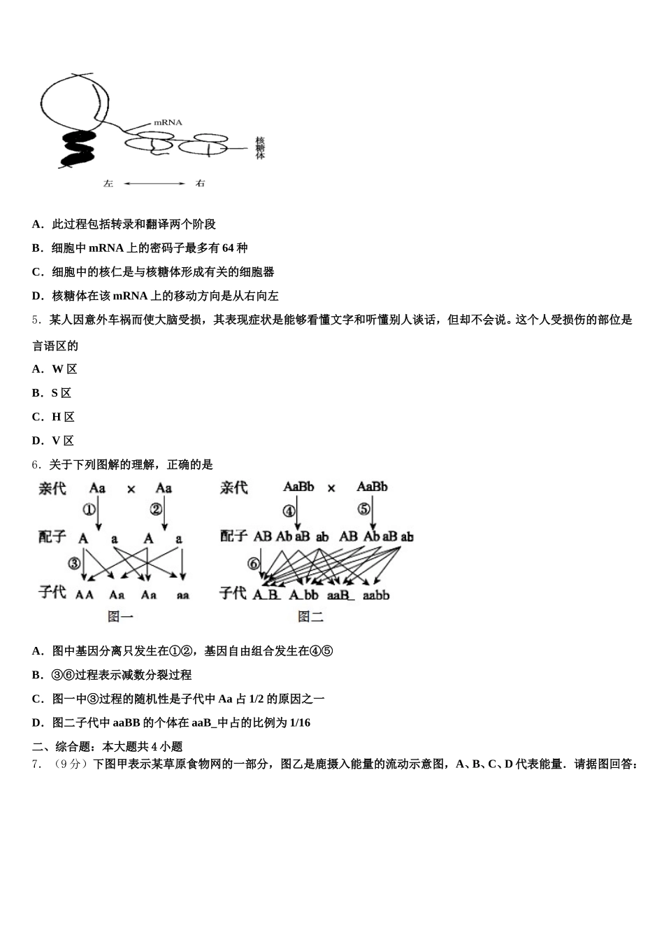 四川省眉山市仁寿县文宫中学2025年高一生物第二学期期末考试模拟试题含解析_第2页