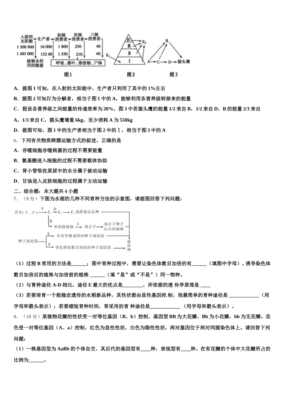 2025年四川省成都市嘉祥教育集团高一下生物期末联考试题含解析_第2页