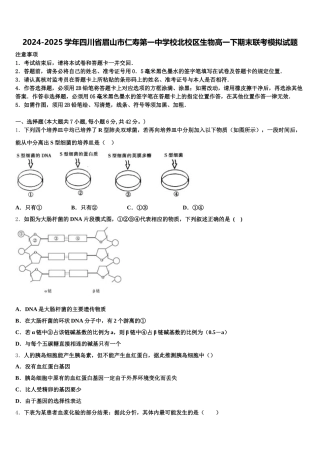 2024-2025学年四川省眉山市仁寿第一中学校北校区生物高一下期末联考模拟试题含解析