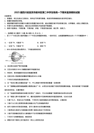 2025届四川省宜宾市叙州区第二中学生物高一下期末监测模拟试题含解析