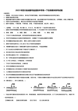 2025年四川省成都市盐道街中学高一下生物期末联考试题含解析