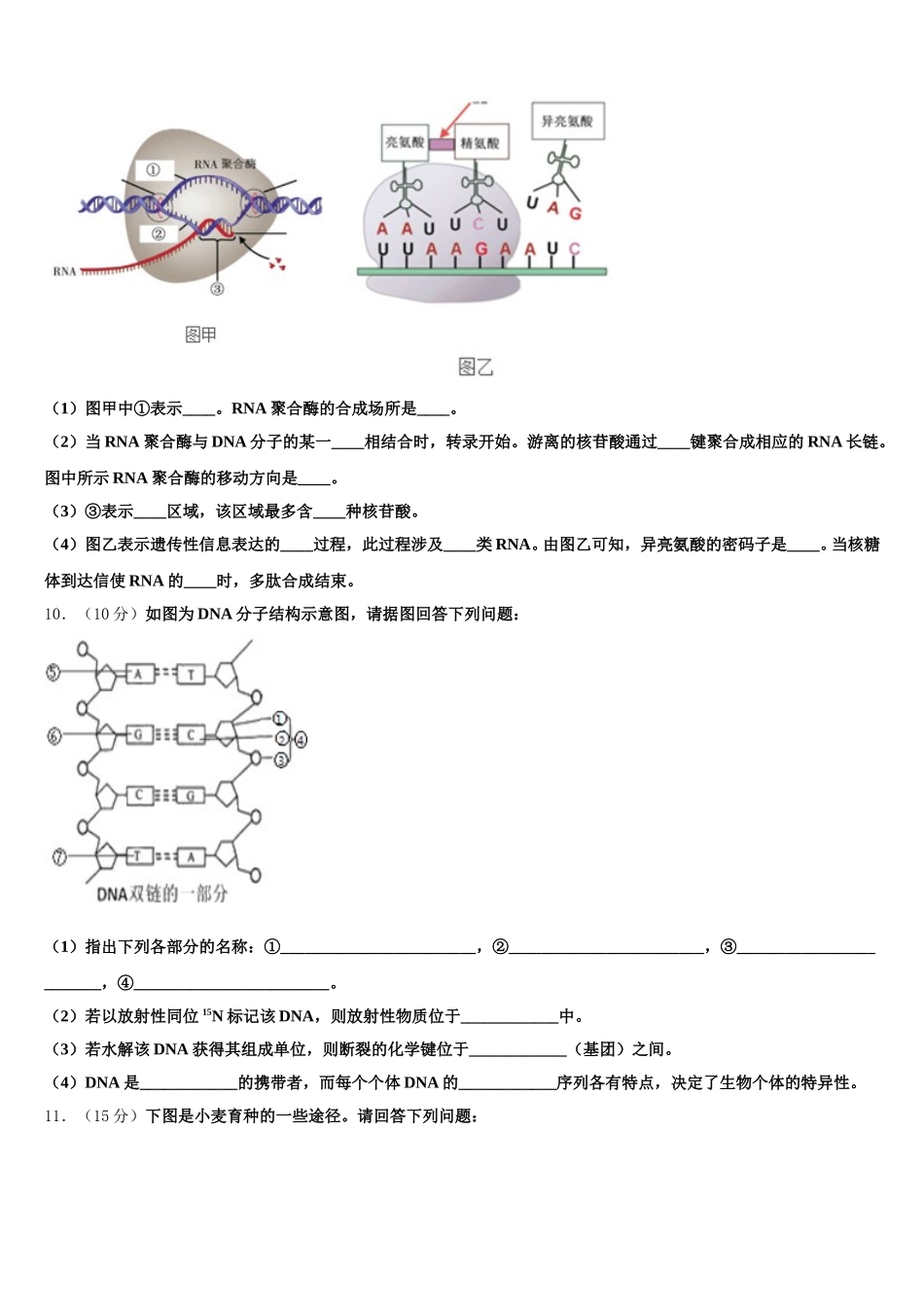 2025年四川省广安第二中学校高一下生物期末学业质量监测试题含解析_第3页