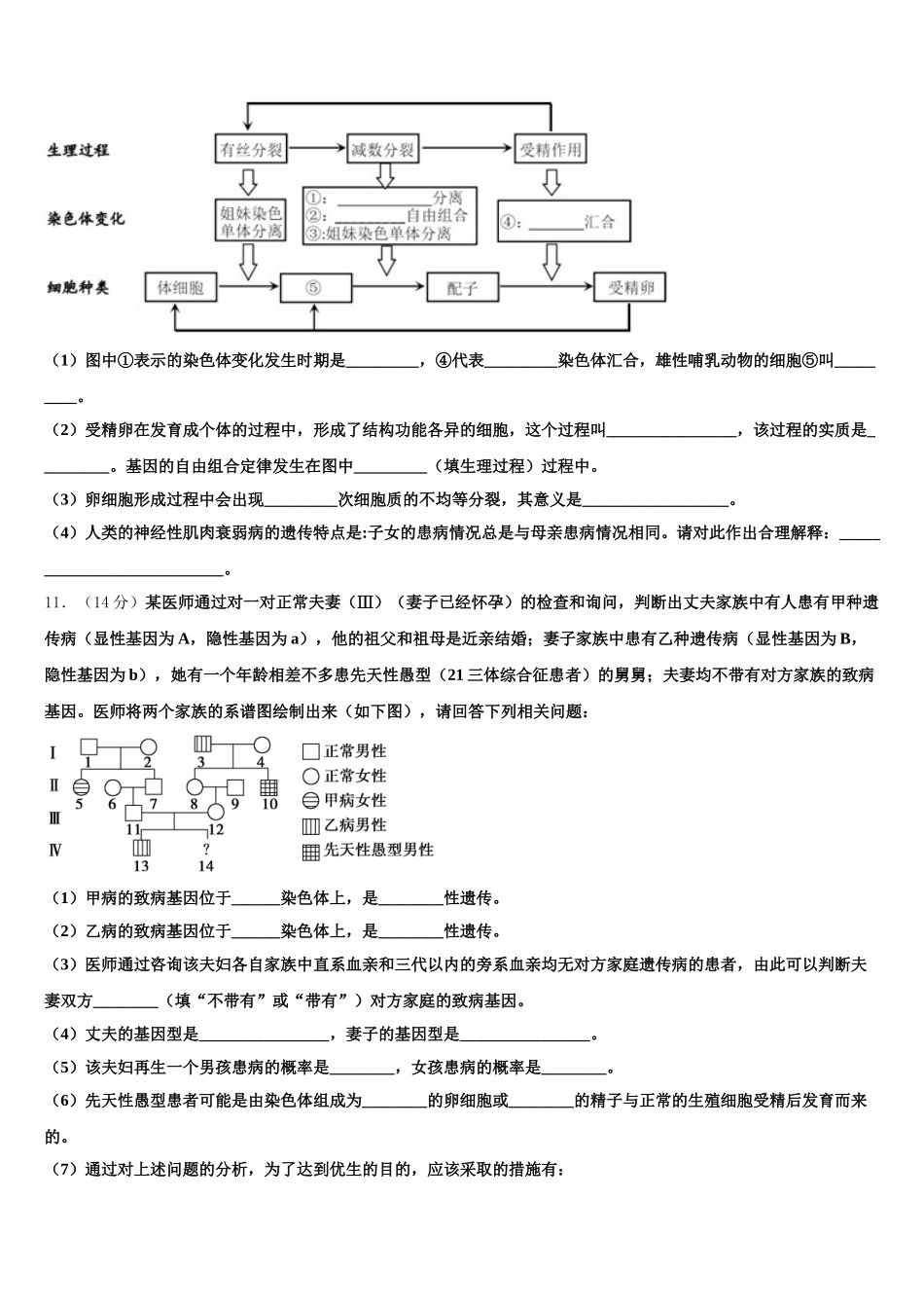 四川省南充市高坪区白塔中学2025届生物高一第二学期期末监测模拟试题含解析_第3页