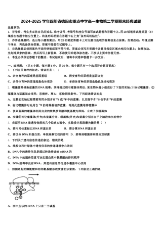 2024-2025学年四川省德阳市重点中学高一生物第二学期期末经典试题含解析