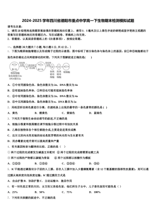 2024-2025学年四川省德阳市重点中学高一下生物期末检测模拟试题含解析
