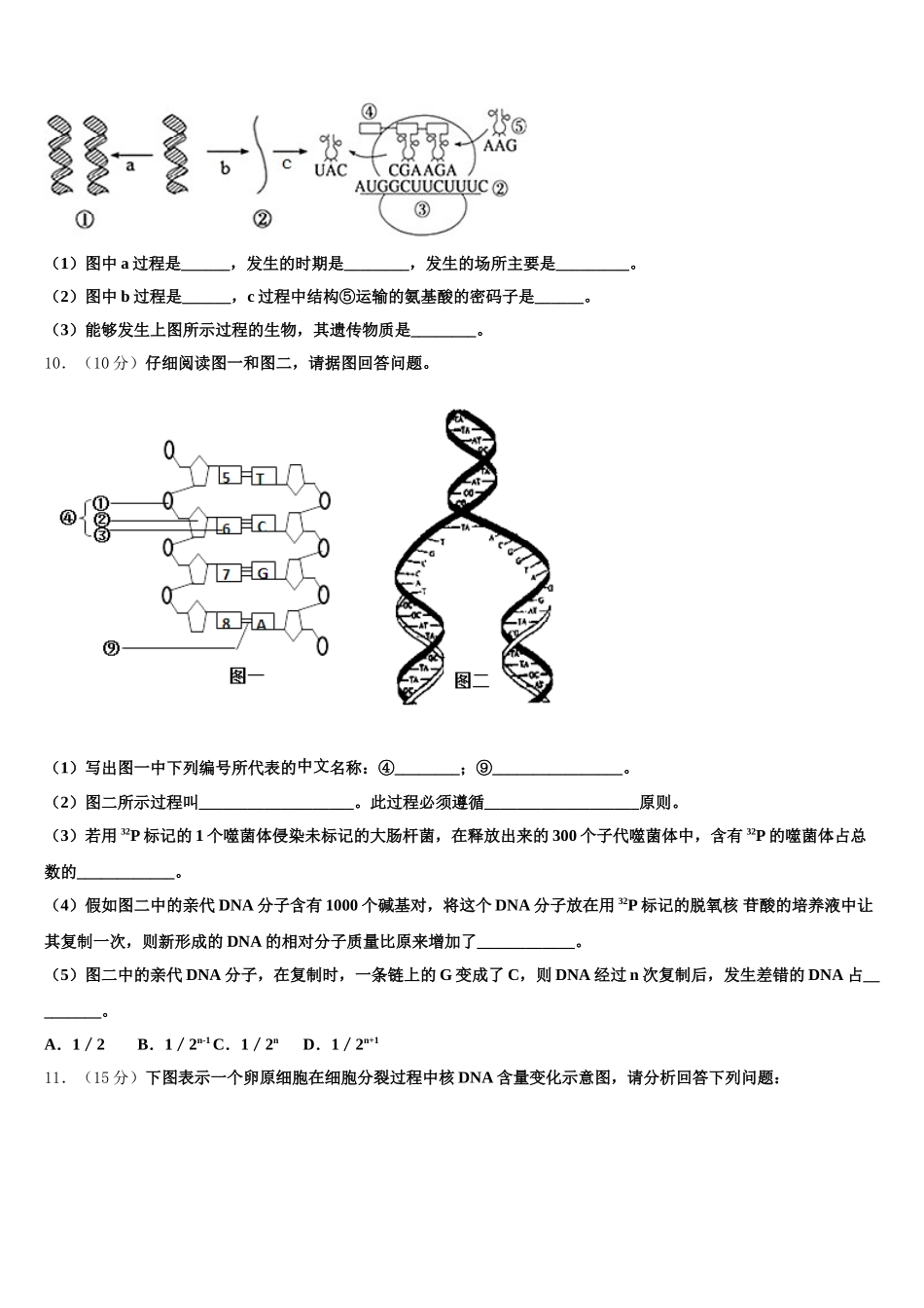 2025年四川省大竹县观音中学高一生物第二学期期末统考模拟试题含解析_第3页