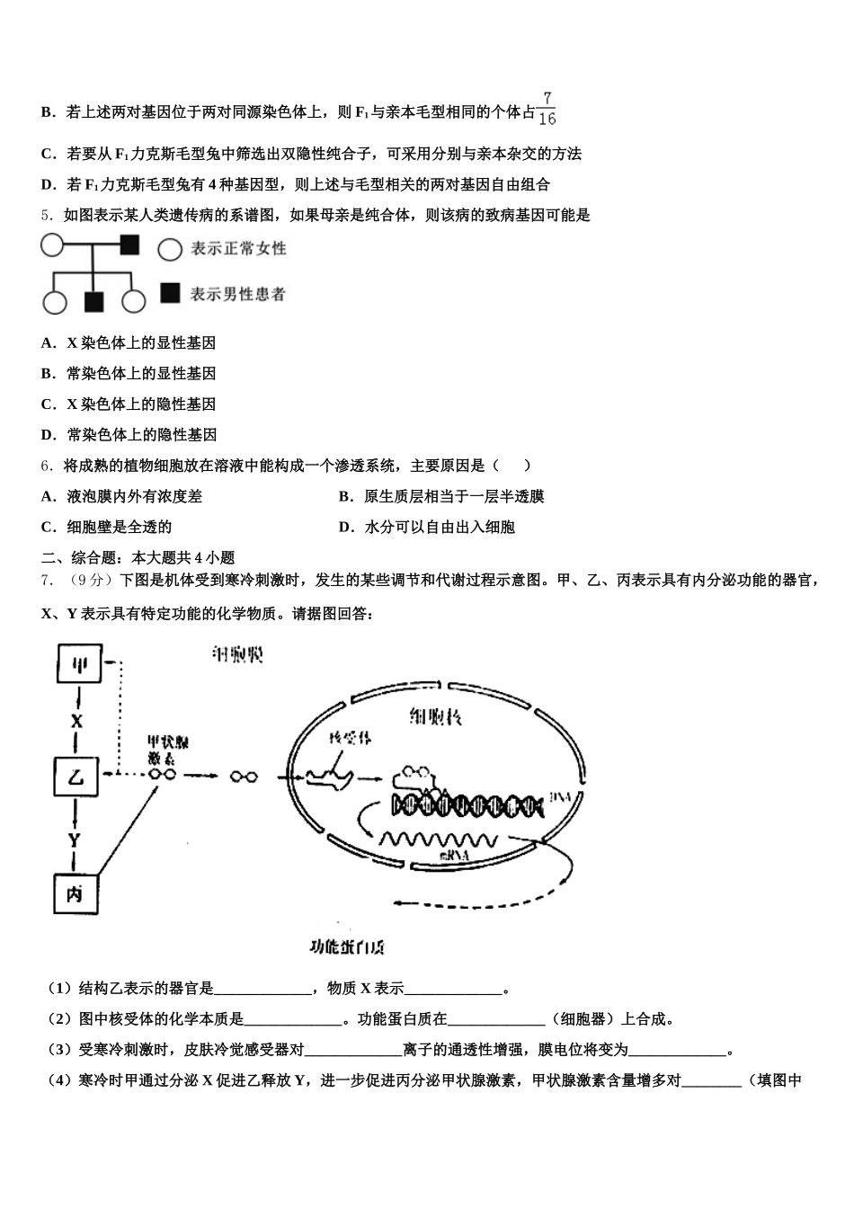 四川省绵阳东辰国际学校2025届高一下生物期末学业质量监测试题含解析_第2页