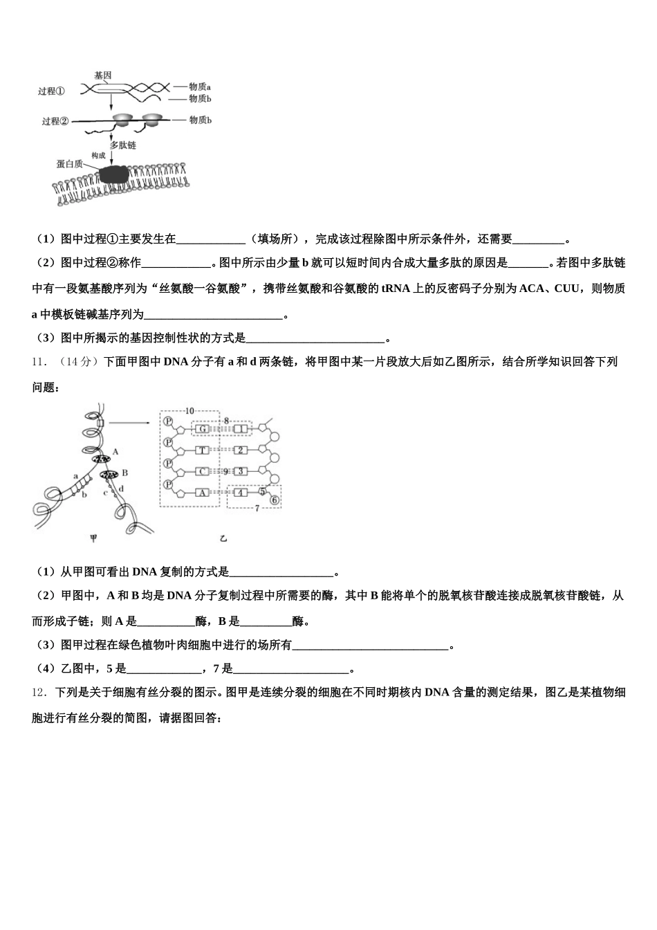 四川省凉山彝族自治州2025年生物高一第二学期期末联考模拟试题含解析_第3页