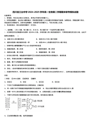 四川省三台中学2024-2025学年高一生物第二学期期末联考模拟试题含解析