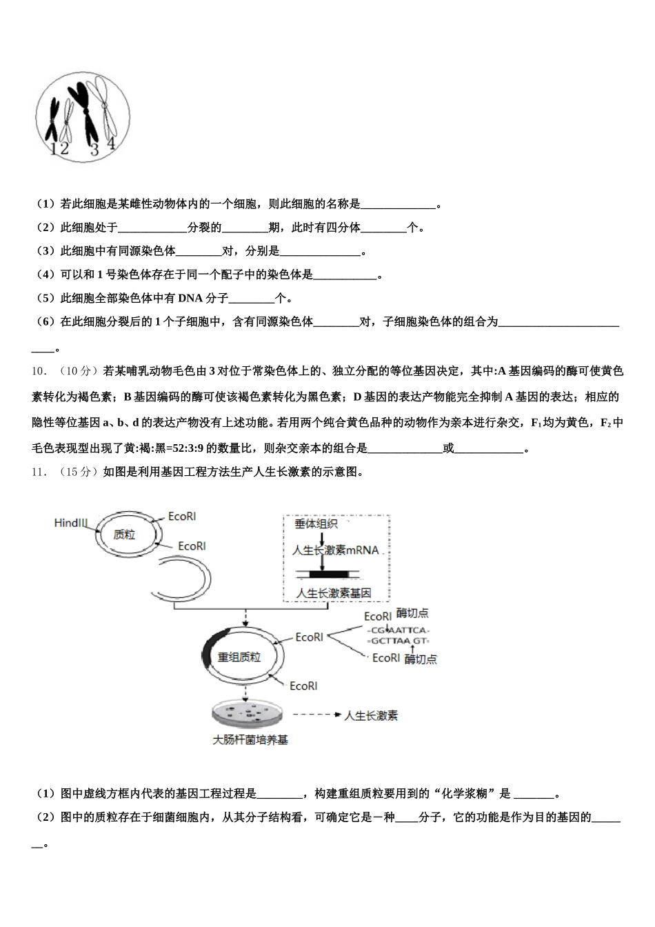 2025年四川省会理一中生物高一第二学期期末统考模拟试题含解析_第3页