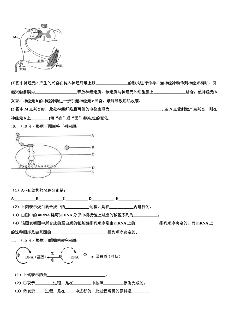 遂宁市重点中学2024-2025学年生物高一下期末教学质量检测模拟试题含解析_第3页