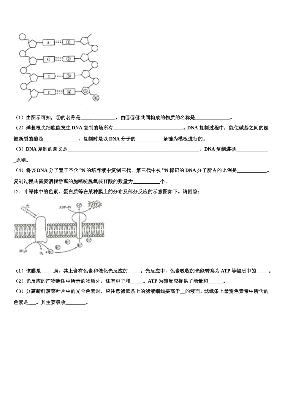 四川省绵阳市绵阳中学资阳育才学校2025年生物高一第二学期期末学业质量监测模拟试题含解析_第3页