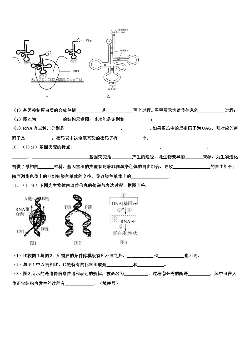 四川省任隆中学2025年生物高一下期末监测试题含解析_第3页