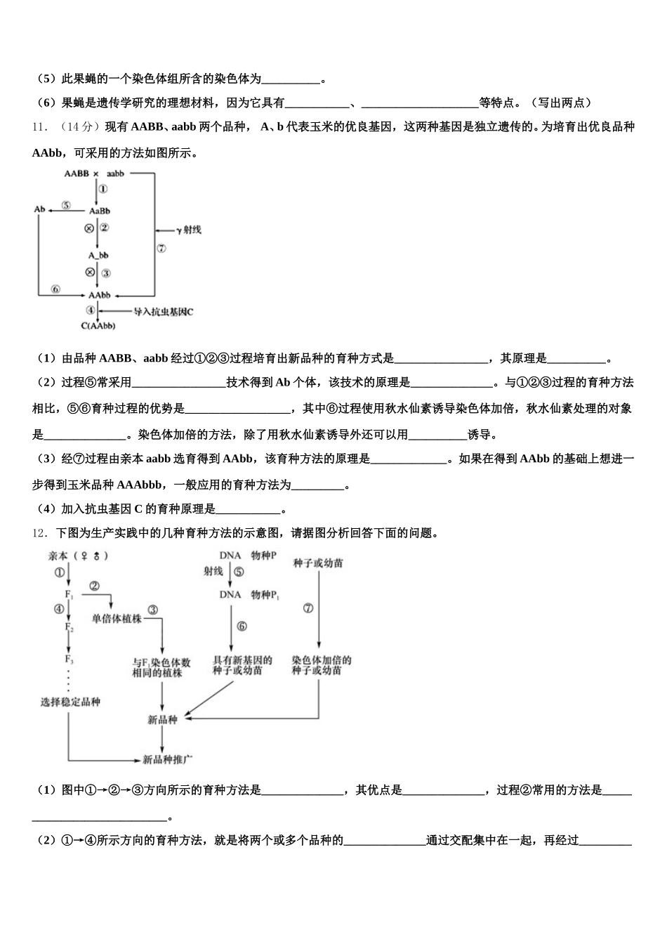 成都市2024-2025学年高一下生物期末学业水平测试试题含解析_第3页
