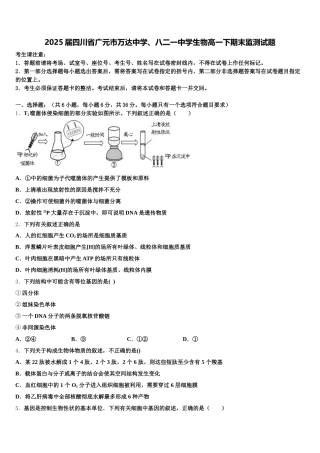 2025届四川省广元市万达中学、八二一中学生物高一下期末监测试题含解析