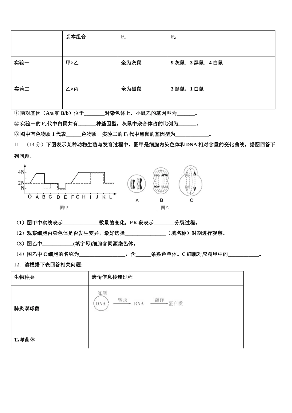 四川省乐至县宝林中学2025届高一生物第二学期期末监测模拟试题含解析_第3页