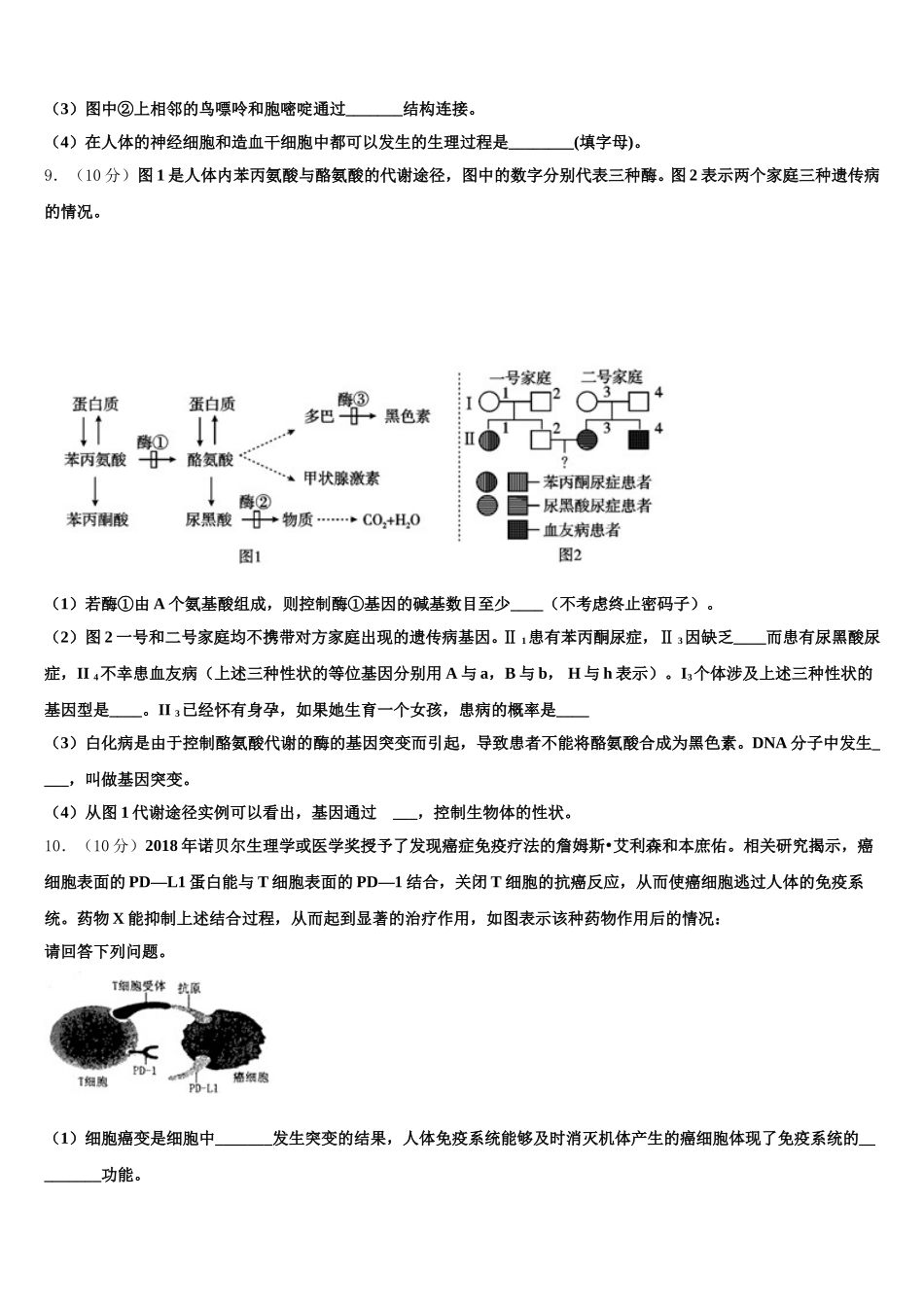 2025届四川省成都外国语学校生物高一第二学期期末调研模拟试题含解析_第3页