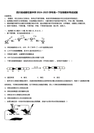 四川省成都石室中学2024-2025学年高一下生物期末考试试题含解析