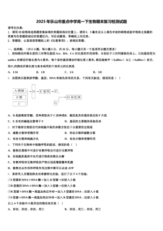 2025年乐山市重点中学高一下生物期末复习检测试题含解析