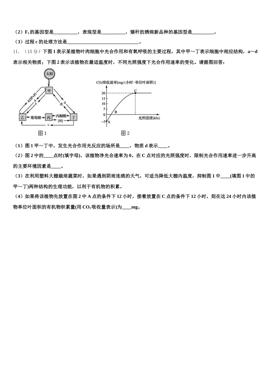 2025年四川省眉山市仁寿县第一中学校北校区高一下生物期末质量跟踪监视模拟试题含解析_第3页