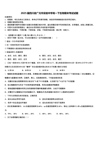 2025届四川省广元市实验中学高一下生物期末考试试题含解析