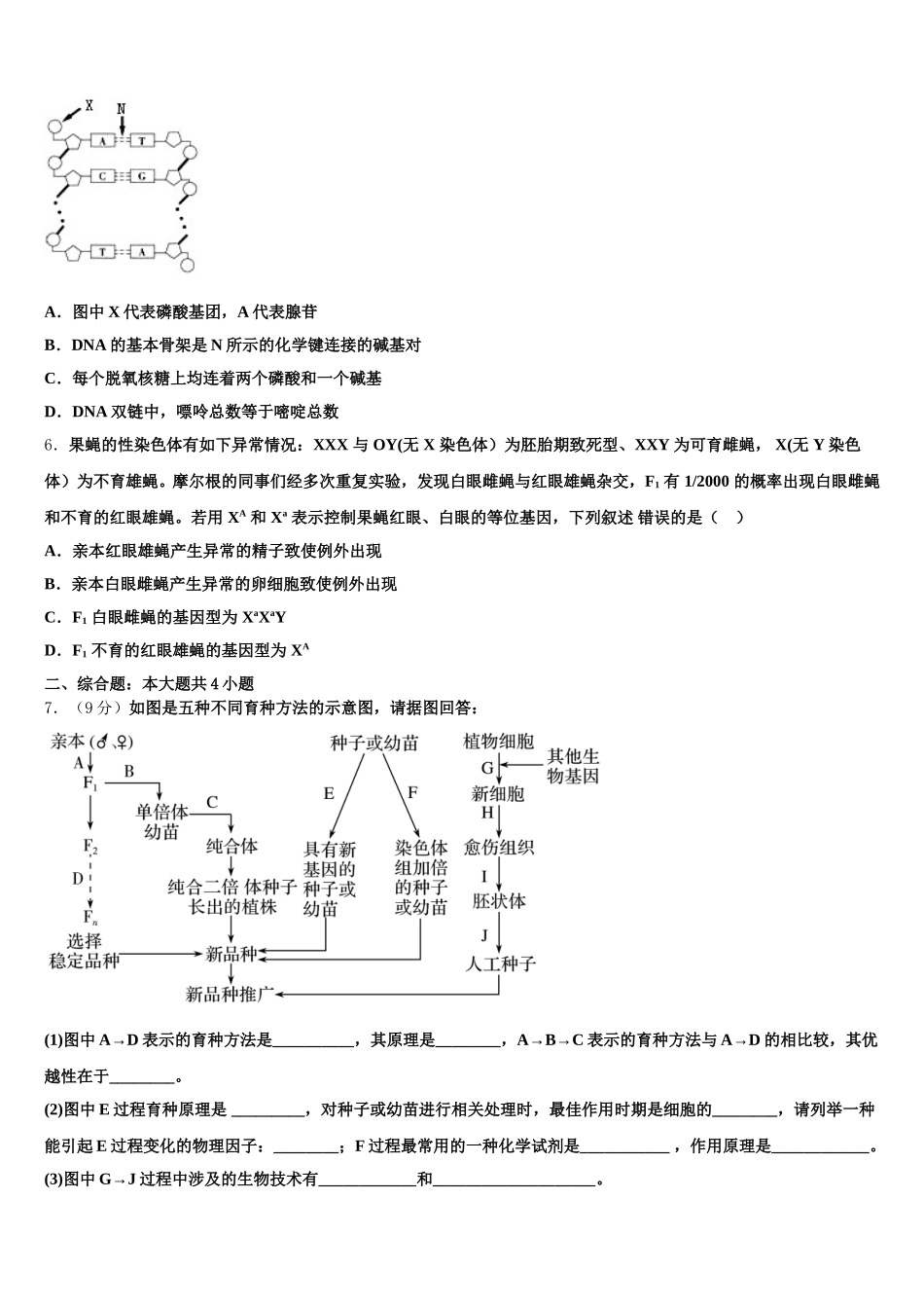 四川省凉山州木里藏族自治县中学2024-2025学年高一生物第二学期期末学业质量监测试题含解析_第2页